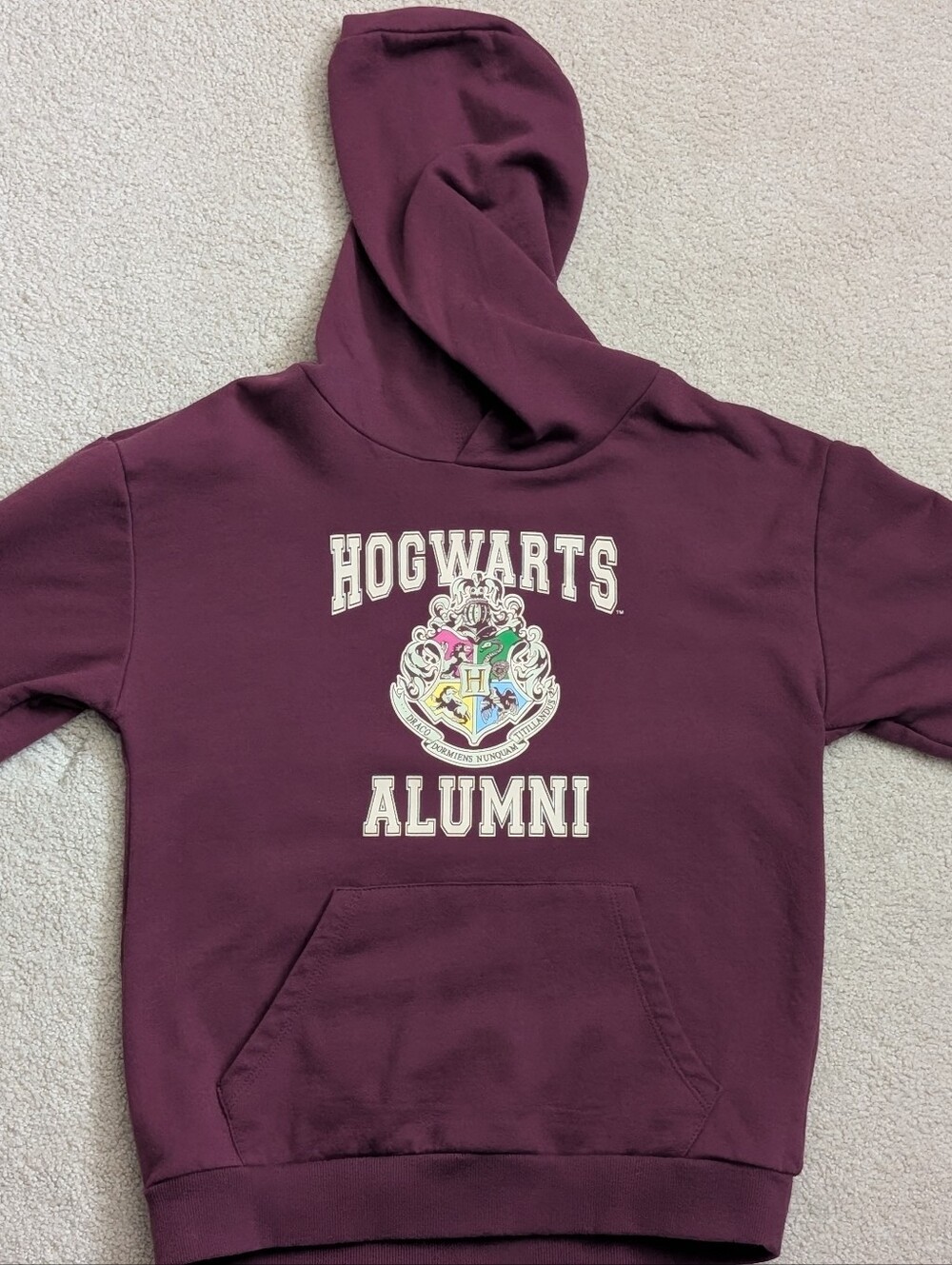 Kids Harry Potter Hoodie, Hogwarts Alumni